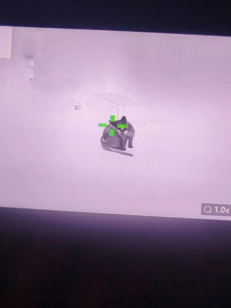 小鸡宝盒永久免费版